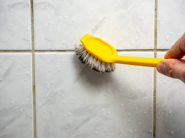 Best Mold Testing and Inspection Services in Wyanet, IL