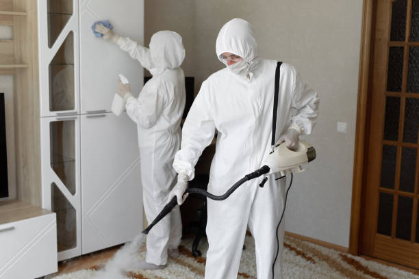 Best Commercial Mold Remediation in Wyanet, IL