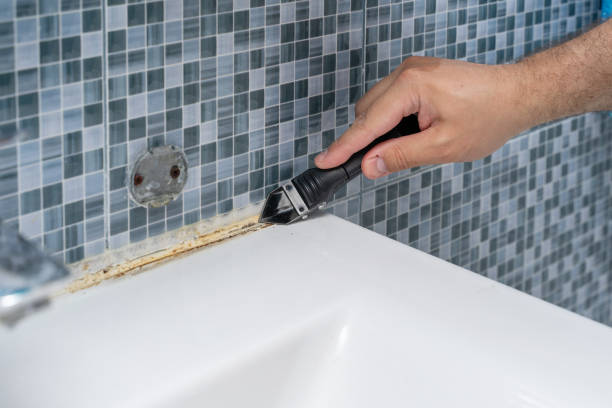 Best Post-Flood Mold Remediation in Wyanet, IL